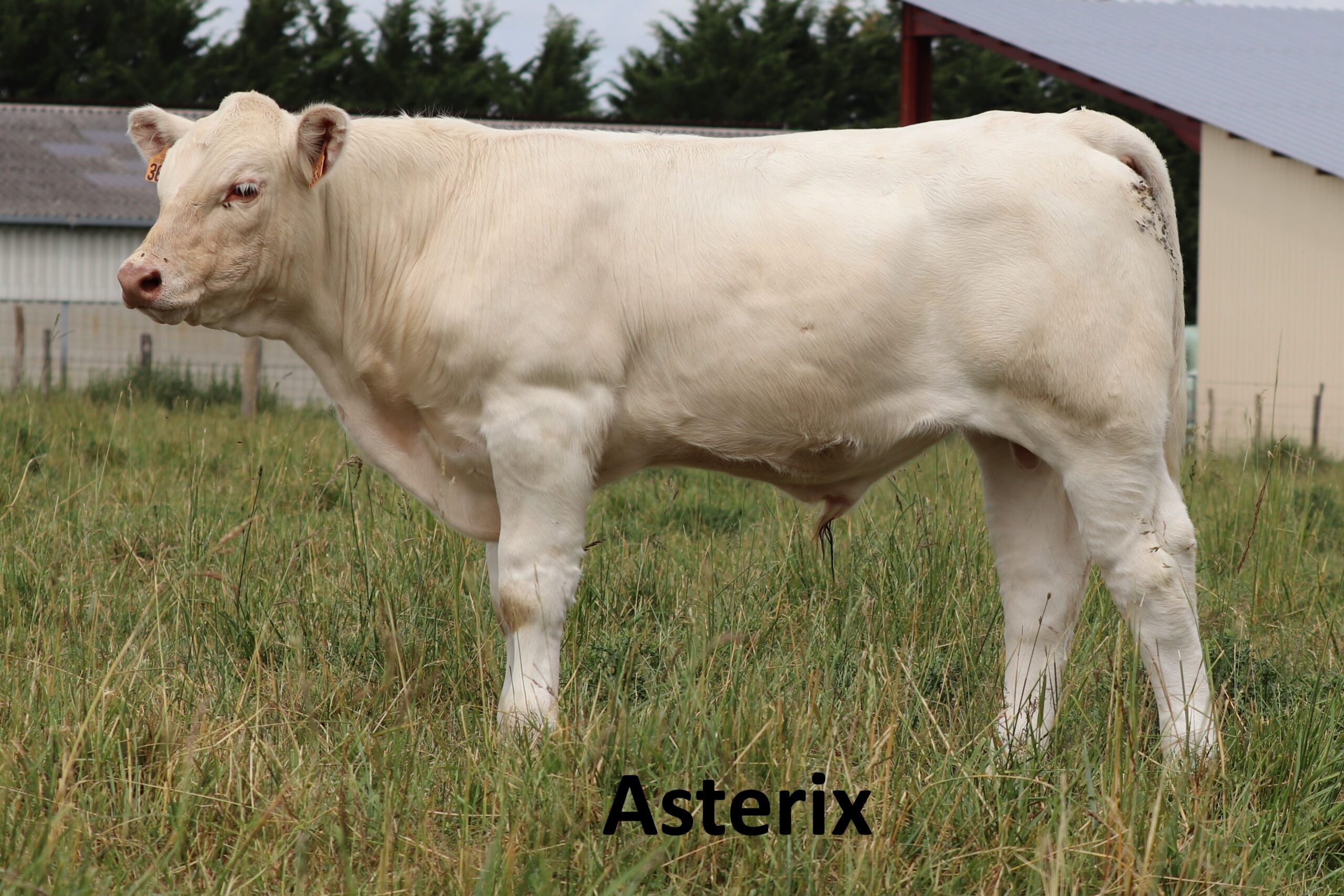 ASTERIX